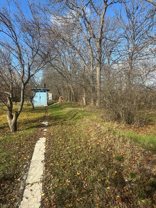 Дачний будинок с земельною ділянкою