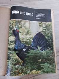 Czasopismo myśliwskie Wild und hund cały rocznik 1964 20 egzemplarzy