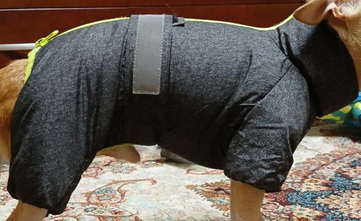 Дождевик/парка/комбинезон для мелкой породы собак