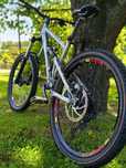 Rower mtb dh custom