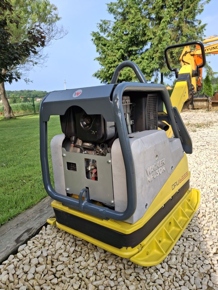 Zagęszczarka Wacker DPU 6555