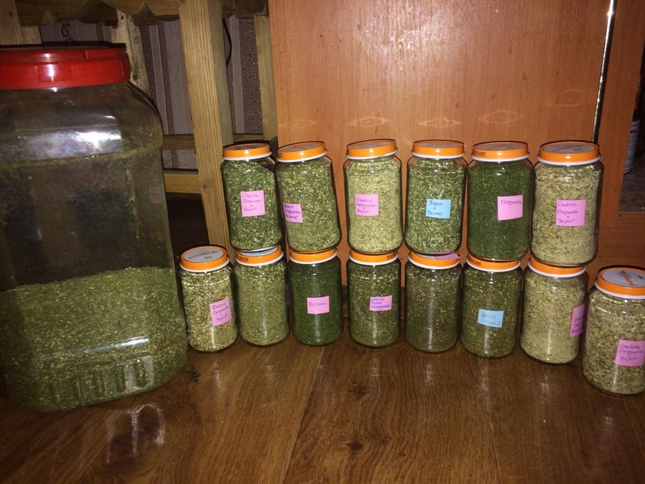 Продам сушёные укроп,петрушку, листья хрена