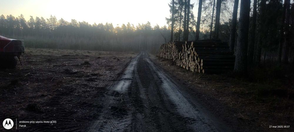 Ścinka drzew Mulczowanie Czyszczenie działek