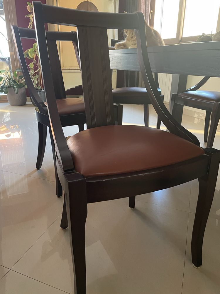 6 Cadeiras de sala de jantar