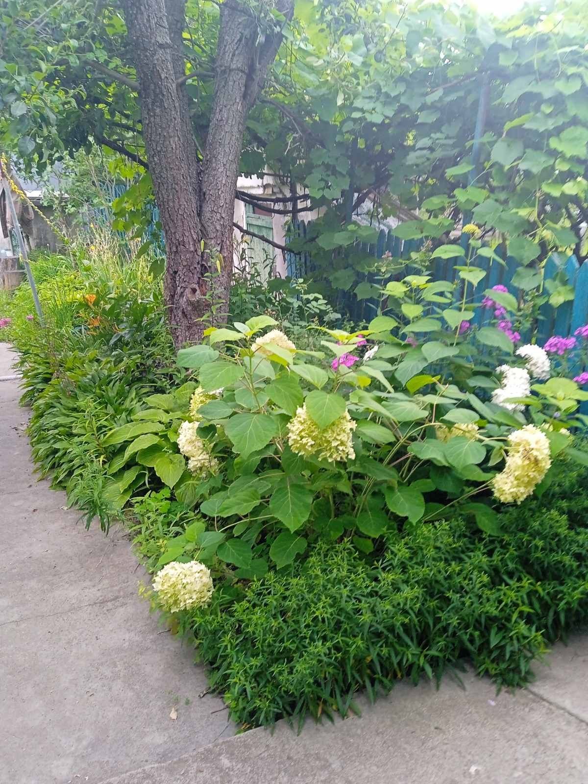 Продаж будинку в центрі села