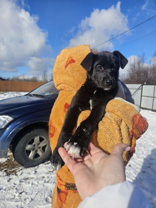 Ми потребуємо родину. Хлопчик і дівчинка