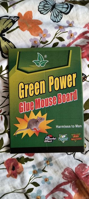 Lep na gryzonie nowy