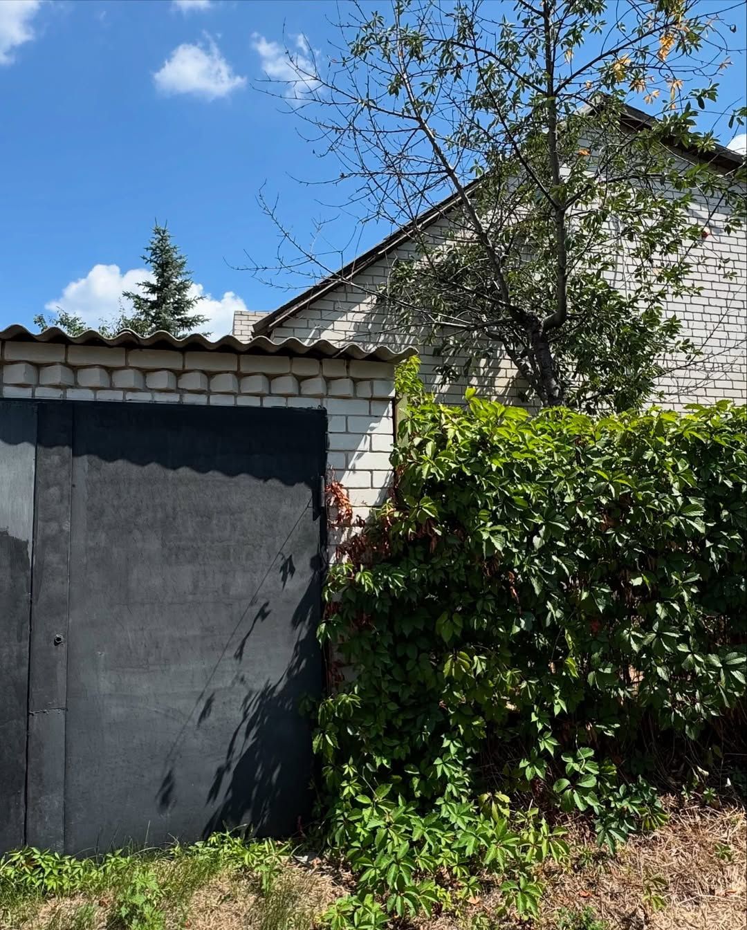 Продаж  дачі ОЗОН,  с. Новоселівка.