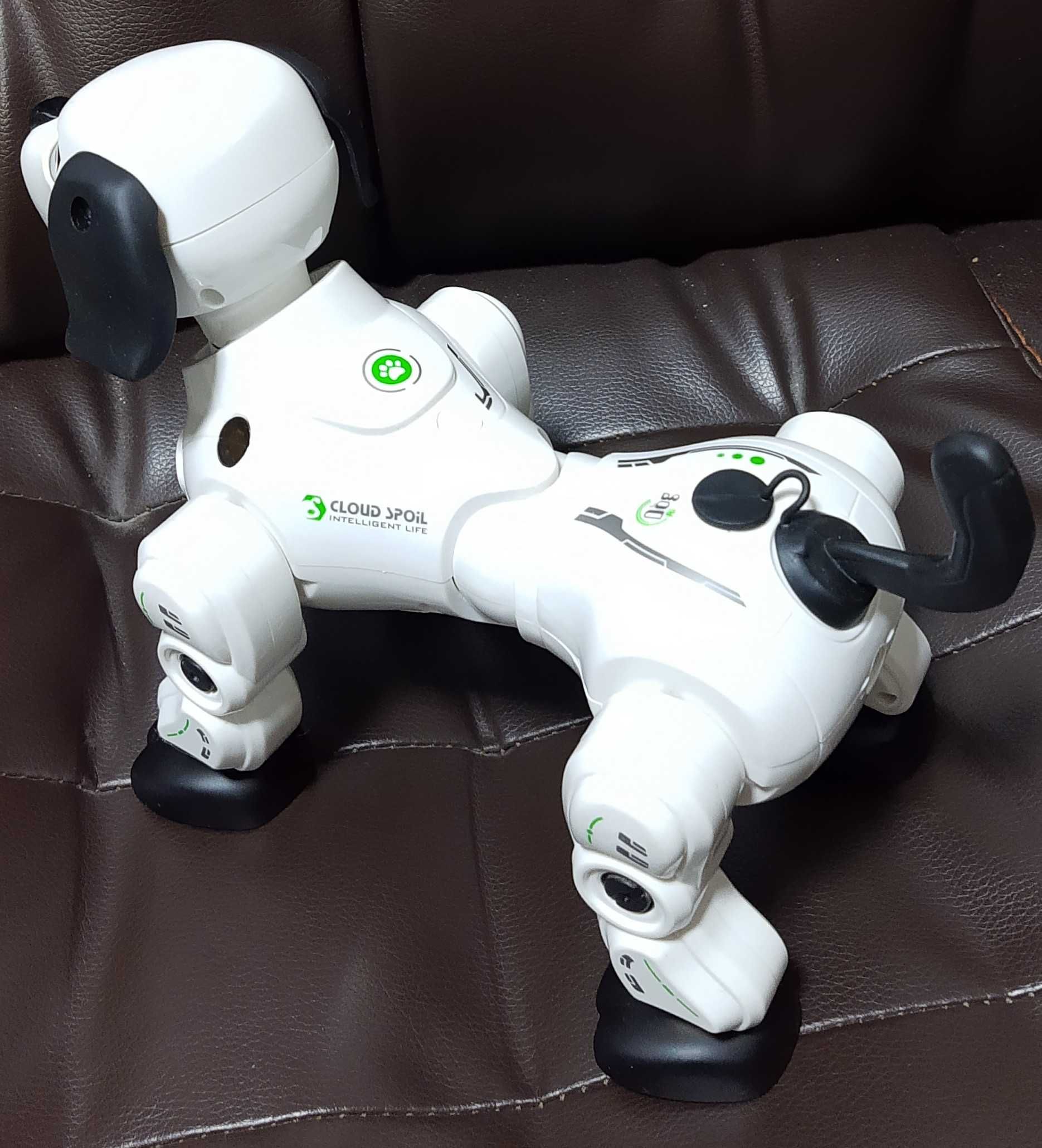 Interaktywny robot pies sterowany na pilot + gesty 2