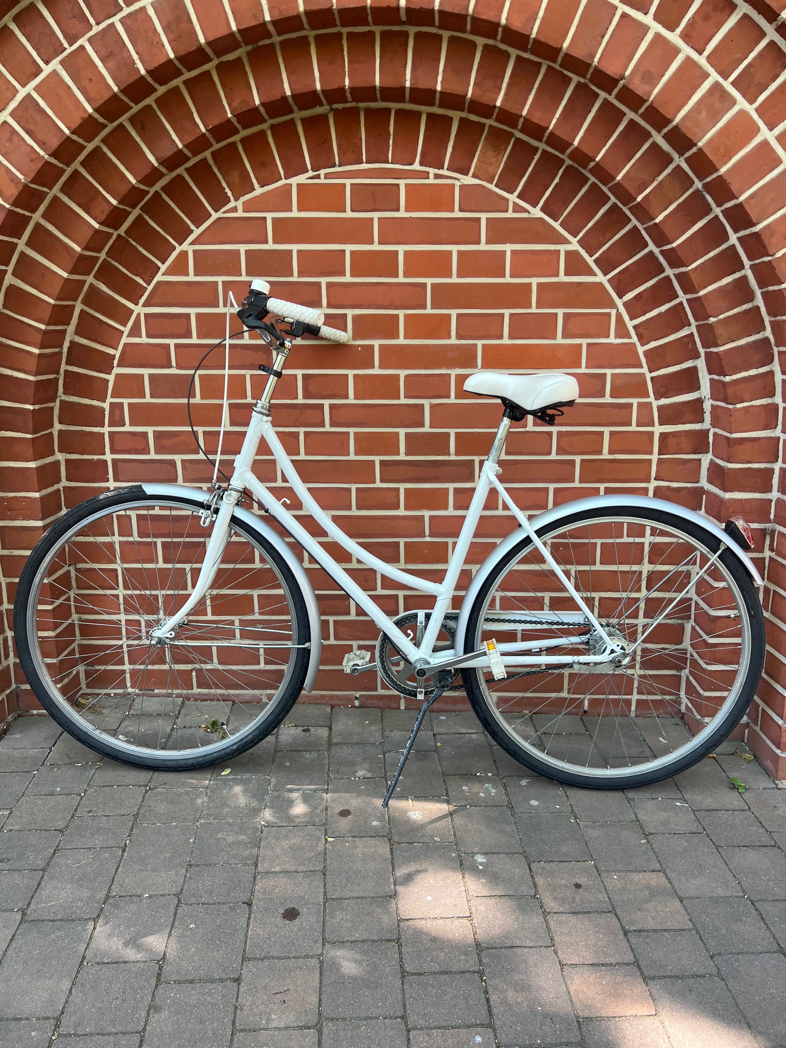 Piękna damka Raleigh