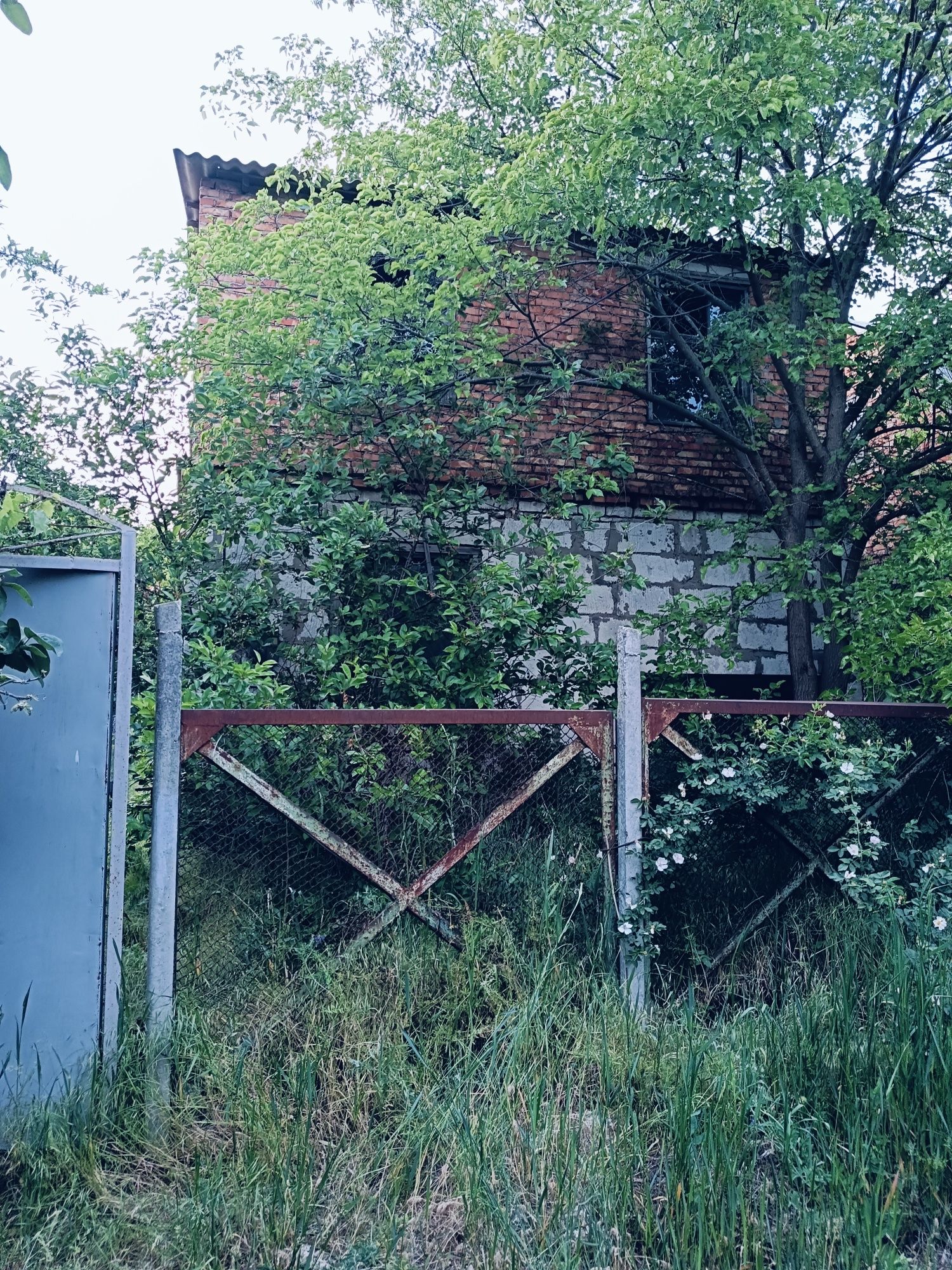Продаю дачный участок