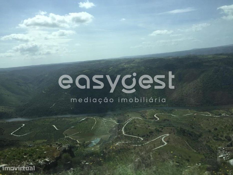 Magnifico terreno agrícola com 223604 m2 junto o Rio Douro.