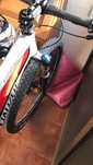 Bike BTT specialized