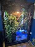 Terrarium tropikalne 100x160x55 cm z akwarium