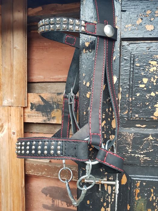 Кантар вуздечка наголовник