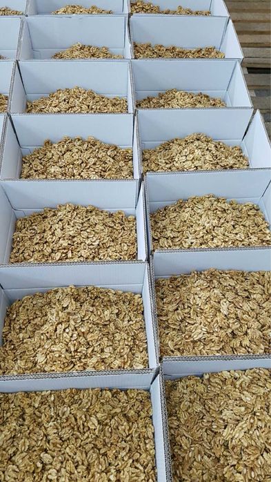 Грецький горіх очищений