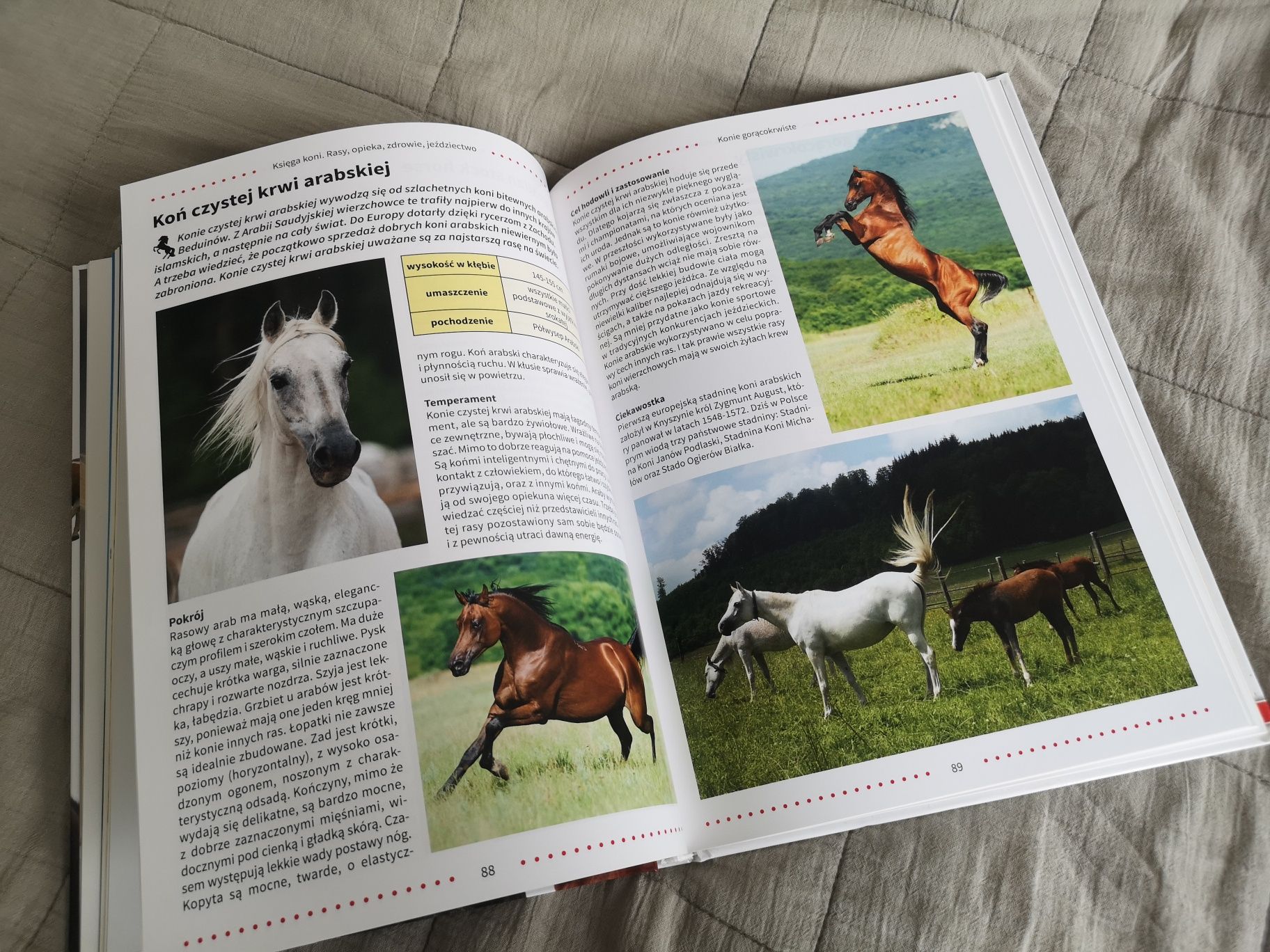 Dwie książki - "Konie", "Księga koni".
