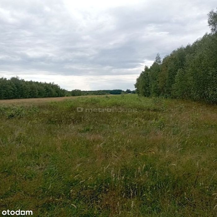 dz produkcyjno-usługowa bud wielkopowierzchniowe