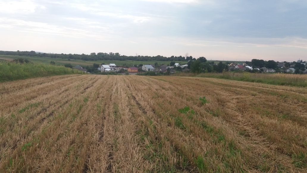 Земельна ділянка під забудову. С. Почапинці