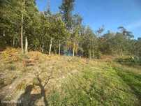 Terreno com viabilidade de construção