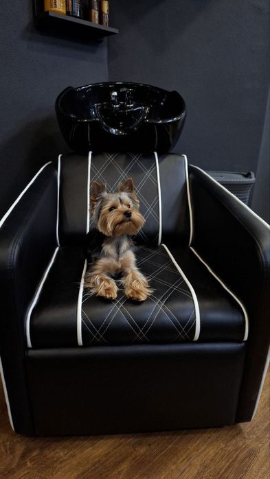 Йорк ищет невесту