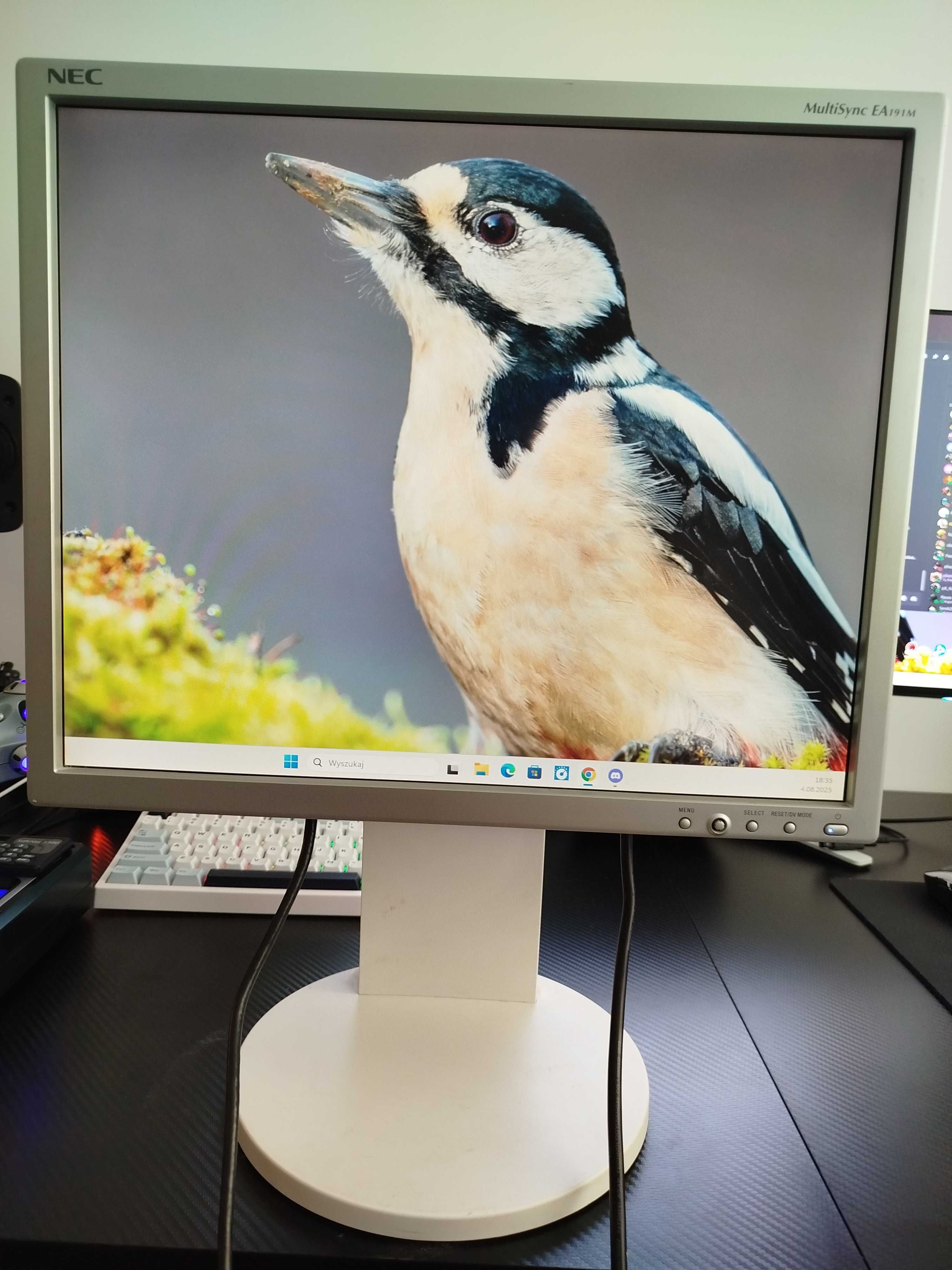 Monitor LCD NEC EA191M 19 cali 75Hz 1280x1024