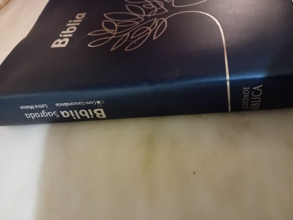 Bíblia Sagrada Sociedade Bíblica