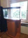 Akwarium Terrarium plus szafka zestaw