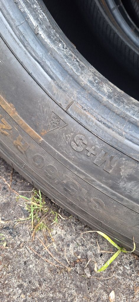 Opony 315/60R22.5 Semperit prowadząca