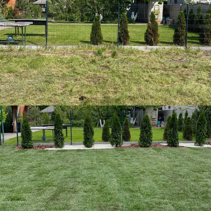 Рулонний/Посевной газон под ключ