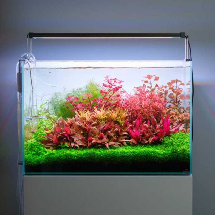 Luz para aquário Twinstar Light V