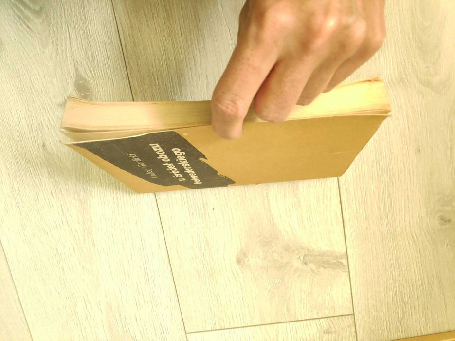 U źródeł obozu belwederskiego, Andrzej Garlicki