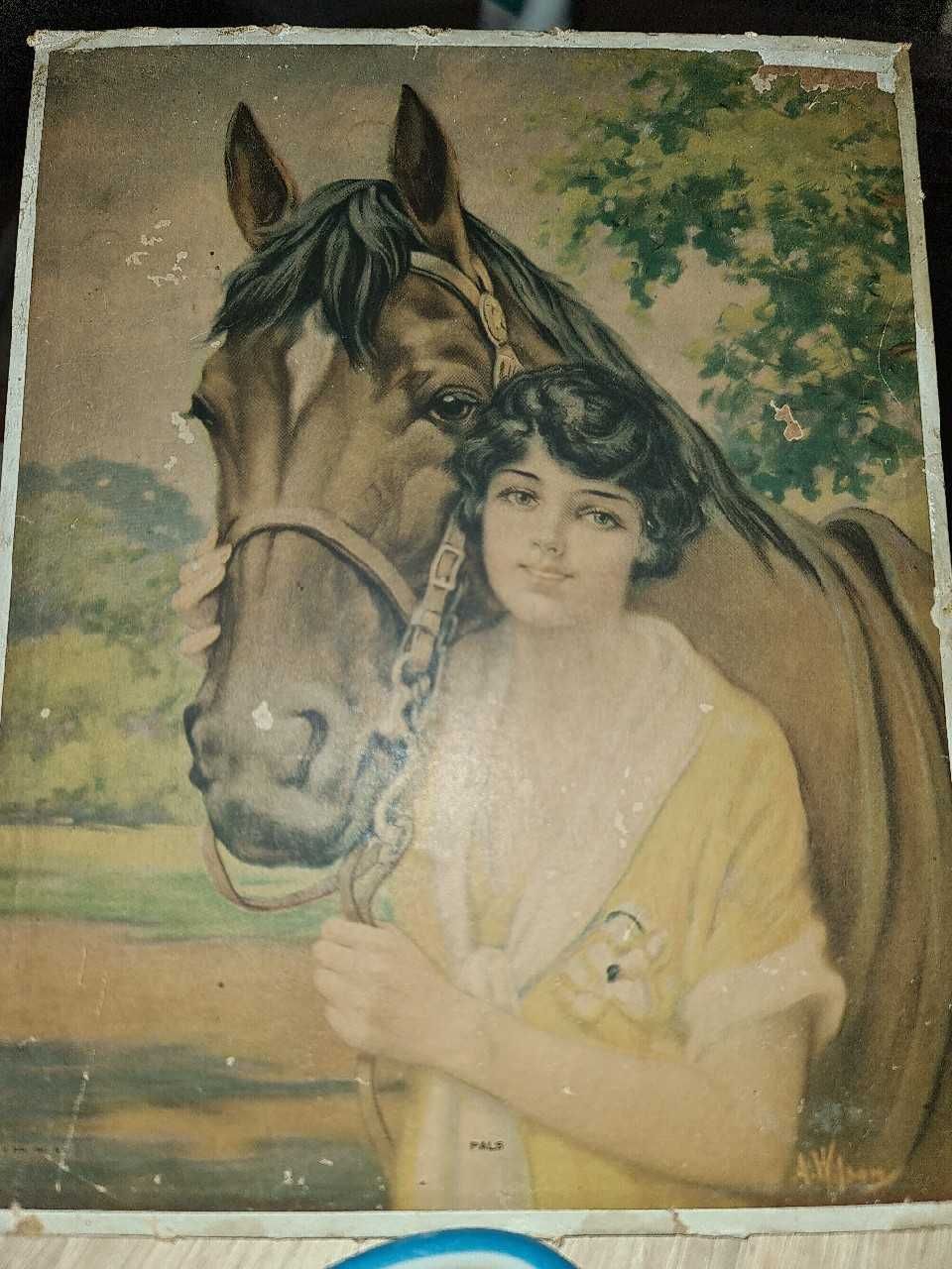 Zdjecie retro dziewczyna z koniem