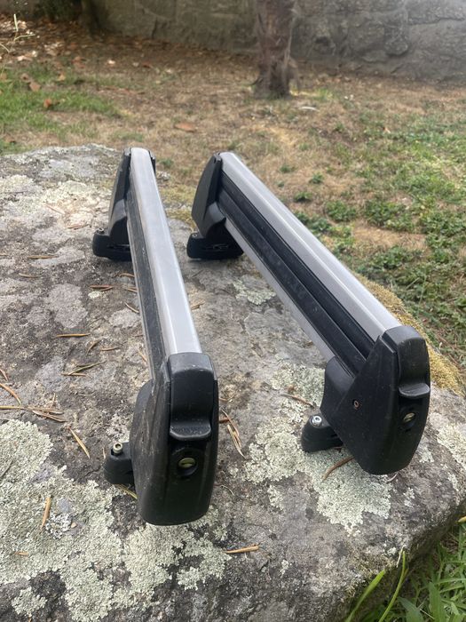 Suporte Skis carro