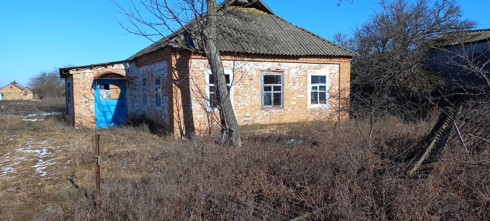Продам будинок в селі Оболонь