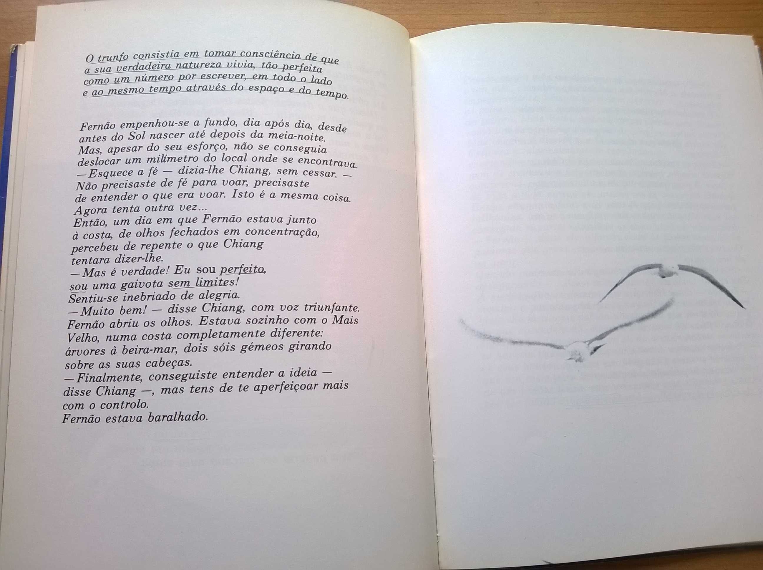 Fernão Capelo Gaivota - Richard Bach