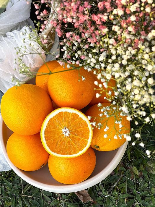 Mobilny bar we włoskim stylu, barman na wesele, imprezę firmową