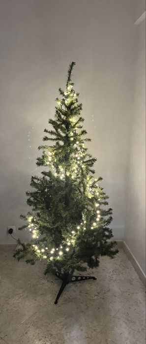 Árvore de Natal Média