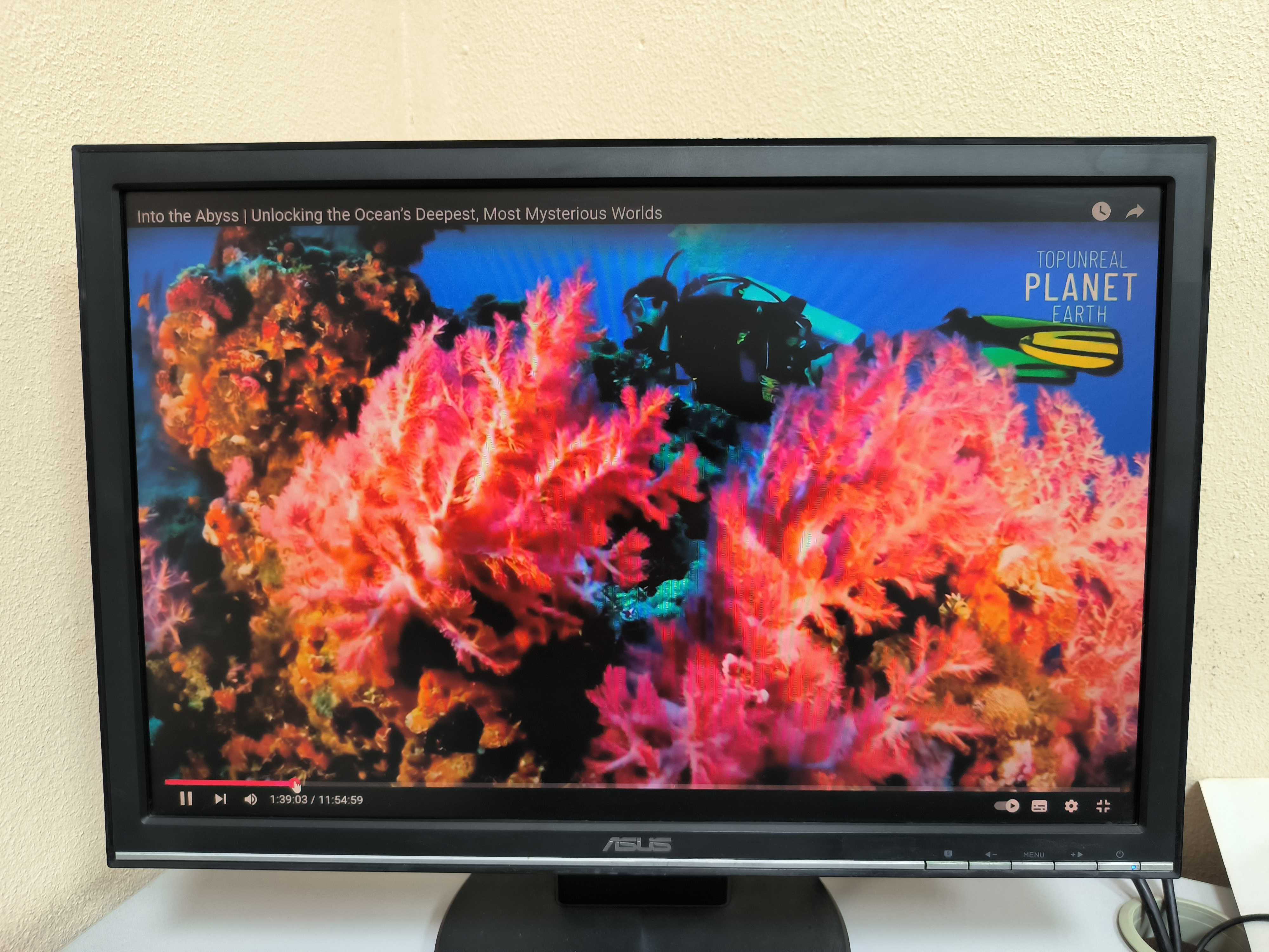 Монитор Asus 20 дюйма vga