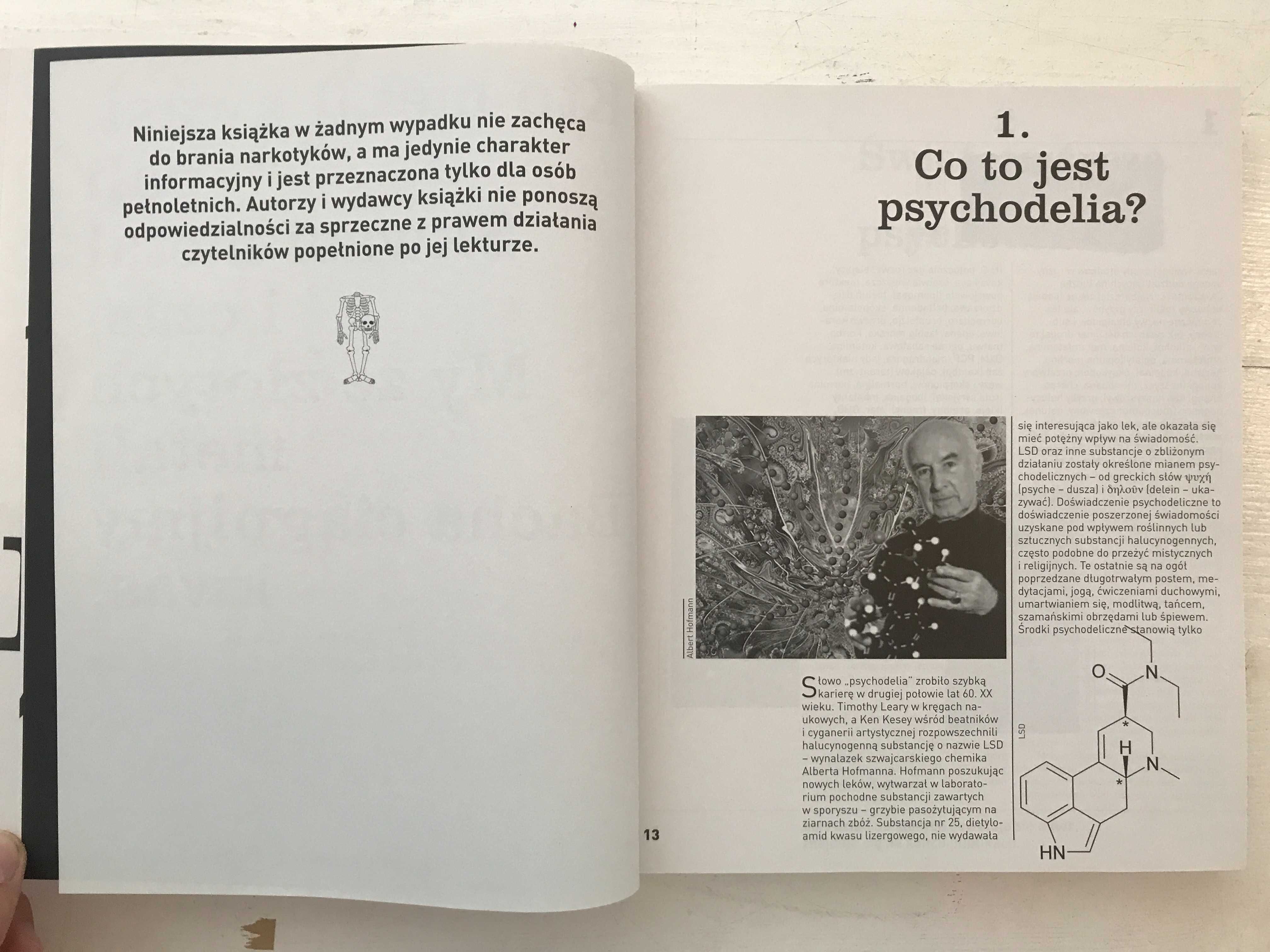 Encyklopedia Polskiej Psychodelii Kamil Sipowicz