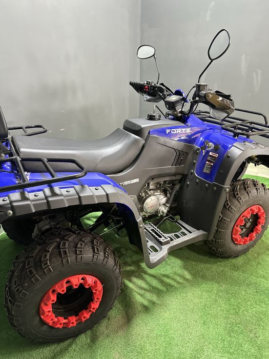 Квадроцикл Forte ATV 250 BS