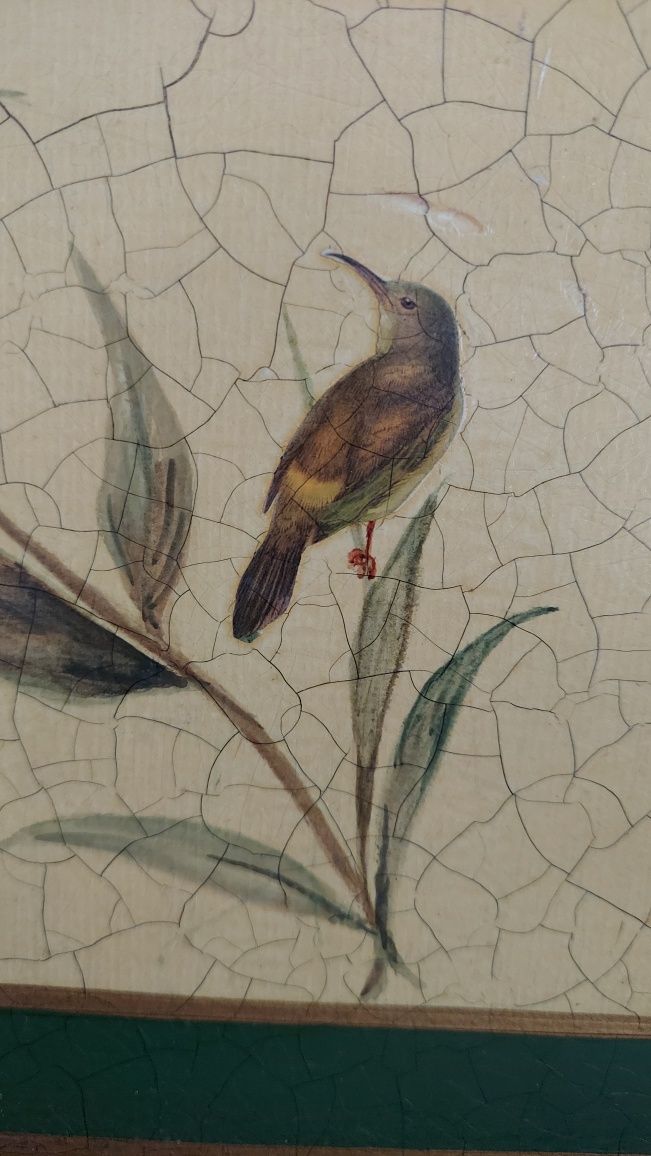 Taca - Florentina- Ręcznie malowana  - Ptaki- Metal