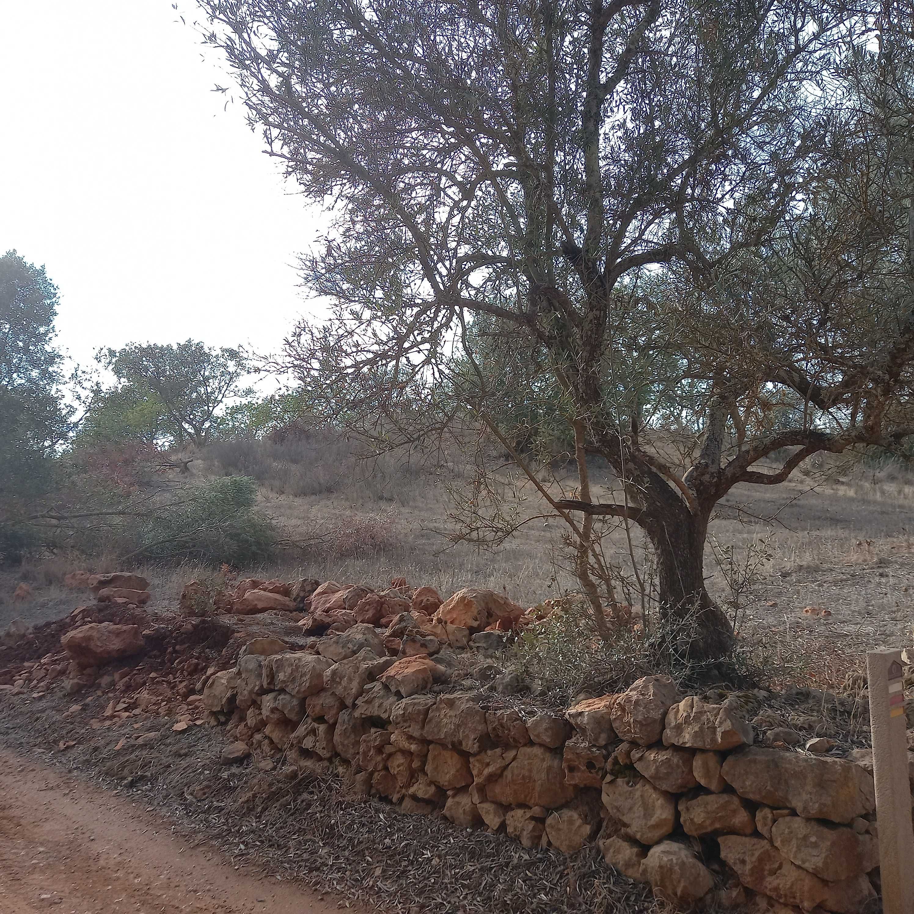 Terreno Rustico (Rustic Plot of Land) Paderne, Albufeira