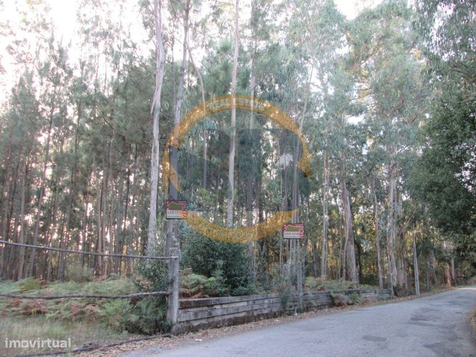 Terreno Santa Maria da Feira Rústico