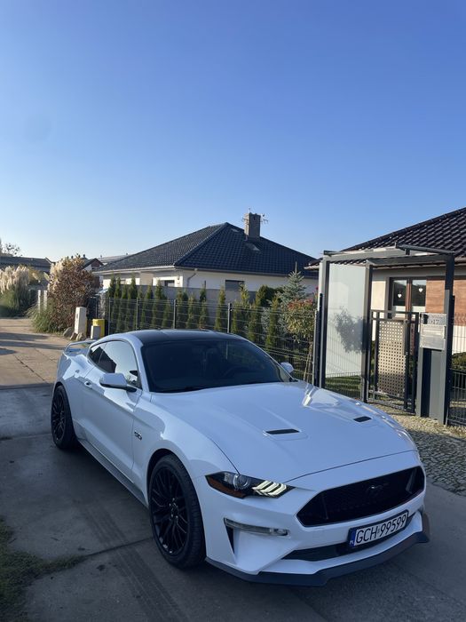 Mustang GT 5.0 manual PP 2019