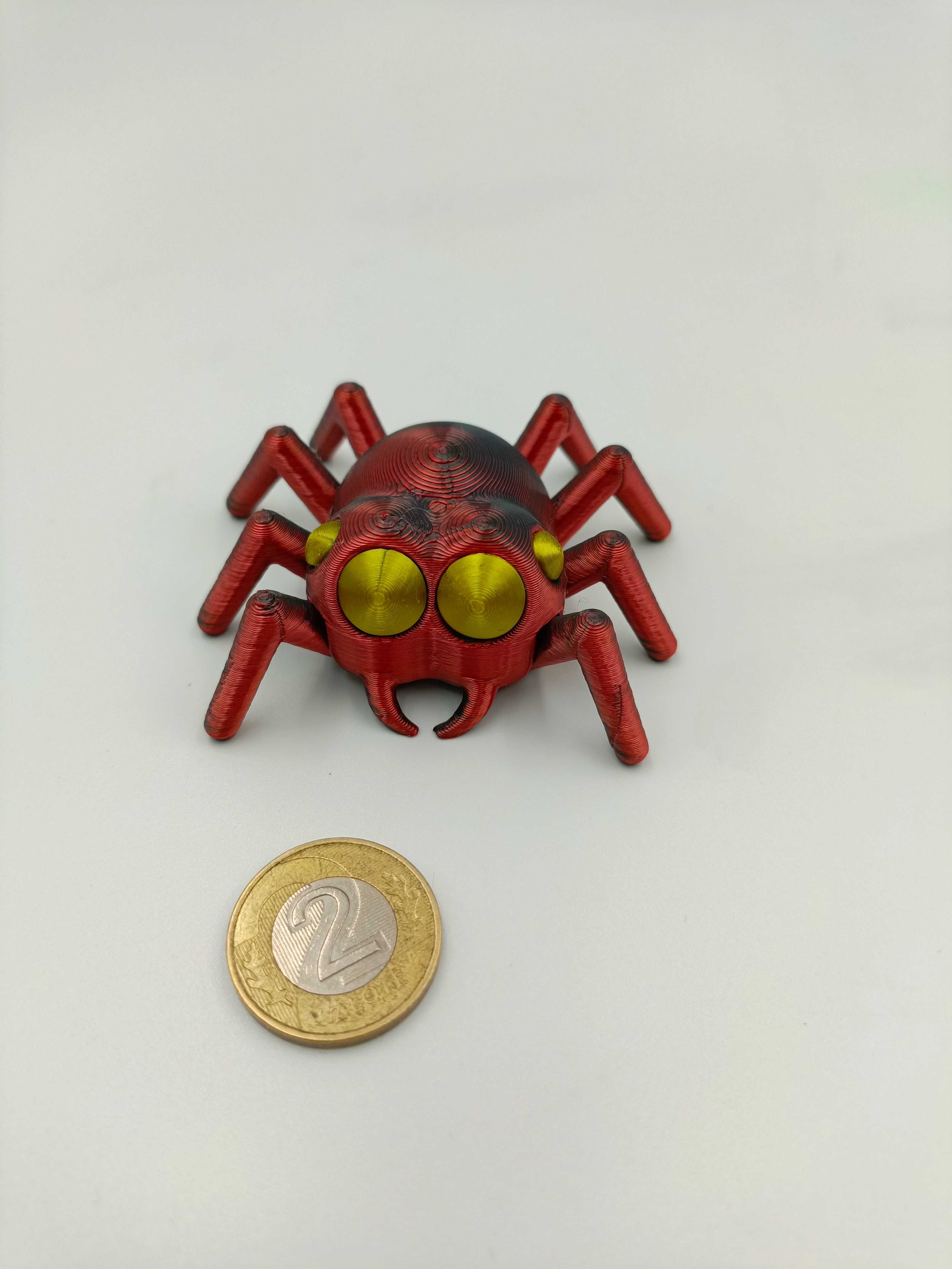 Pająk mały spider skakun czarny czerwony dwu kolorowy