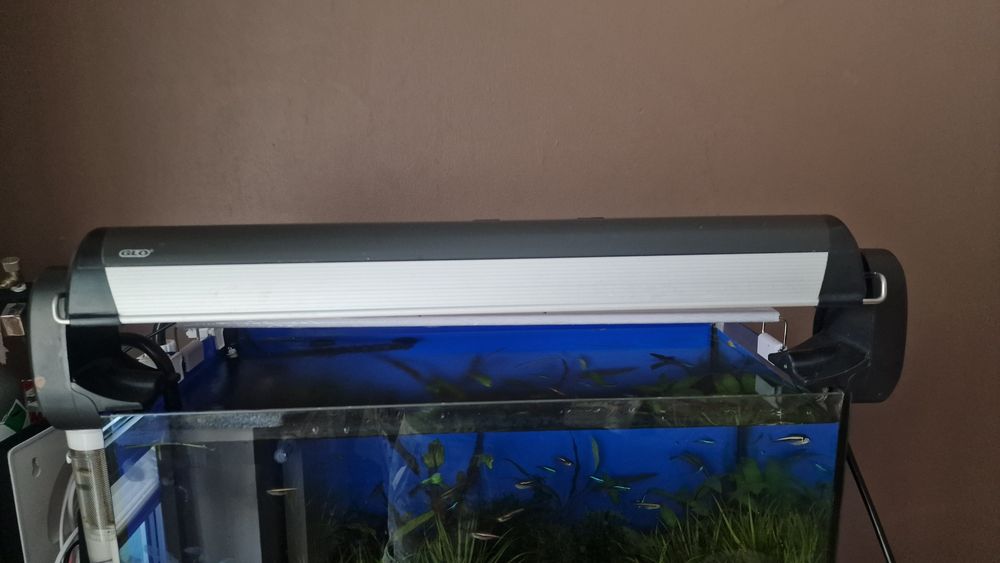 Belka GLO HO 2x24W 61cm