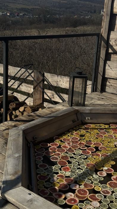 Оренда будинку з чаном, басейном, мангалом — Ужгород 15 хв