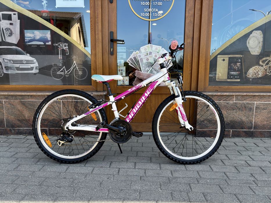 Rower MTB HAIBIKE Life 4.10  koła 24”
