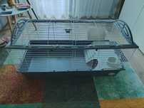 Klatka Ferplast CASITA 120x60 dla gryzonia + gratisy!!!
